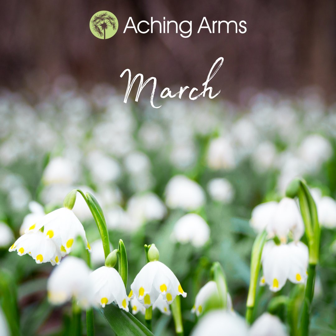 Aching Arms UK tweet media