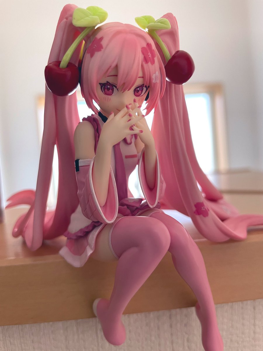 初音ミク ,桜ミク 「ぜってえに手に入れると決めていたただかなり前のめりなので落ちそう 」|もにた*のイラスト