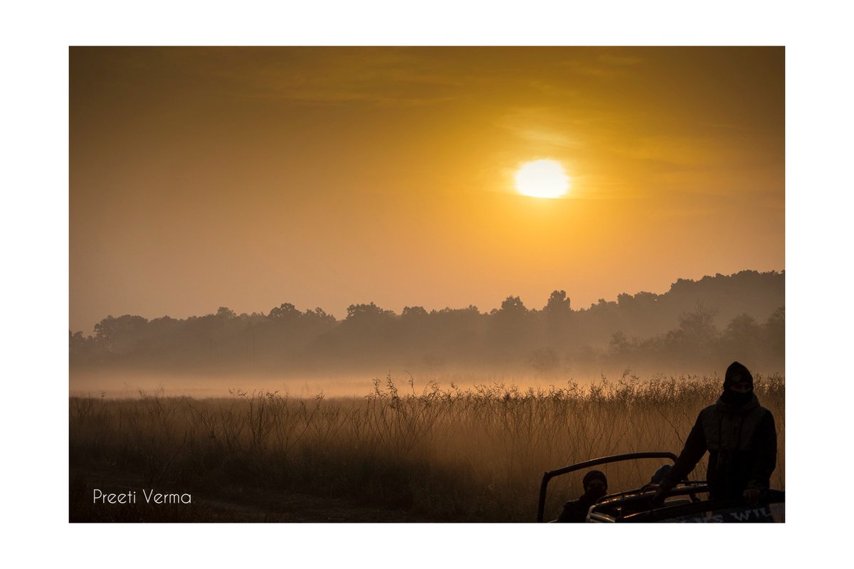 Preeti Verma tweet media