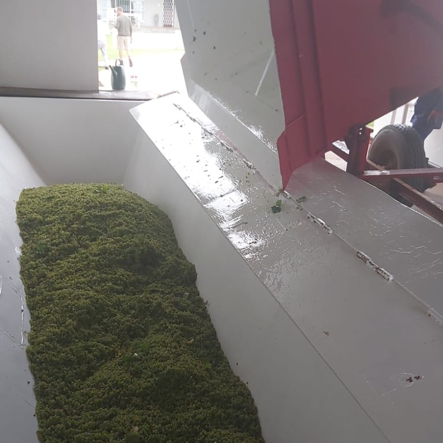 Langverwacht Wines opened their doors in 1954 and has since then produced excellent prize-winning wines, with winemaker Johan Gerber and assistant Theunis Botha.

Langverwacht Cellar is situated in Bonnievale on the Stormsvlei road.