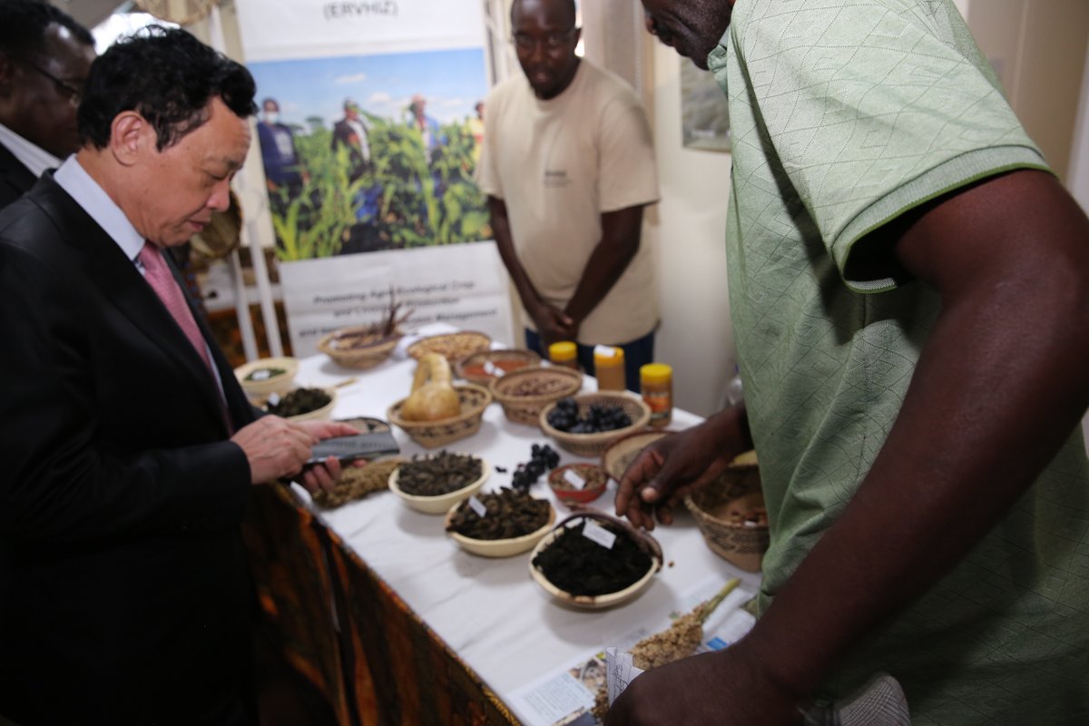 HotoPatie's tweet photo. All in a day's work....Farmers from Insiza supported by the @euinzim under the ERVHIZ project,  showcasing the country's diverse, nutritious, traditional foods during the #FAODG visit #Zimbabwe. #ZimbabweSUN #UNNutritionZim #HealthyDiets https://t.co/bDnHeepY4x