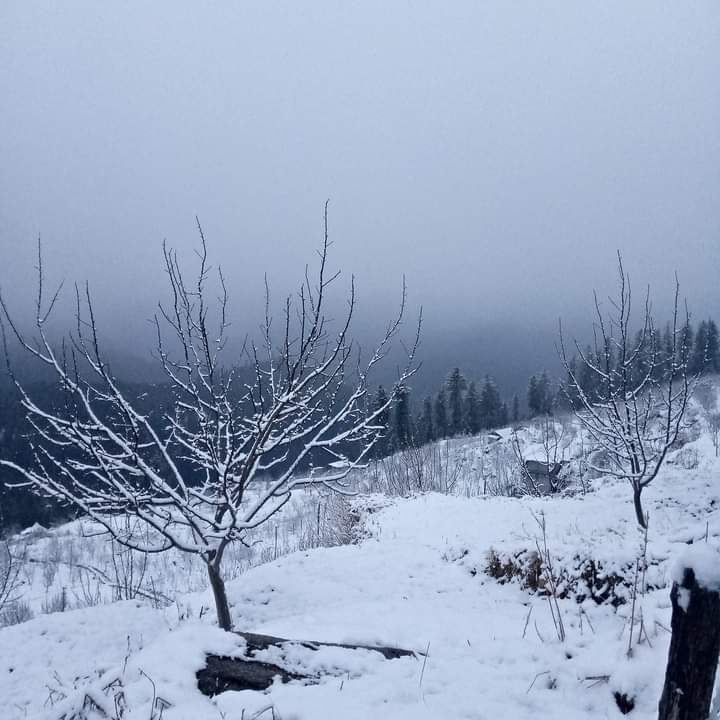 shubhamtorres09's tweet photo. Fresh #Snowfall in #Khadrala ❄️🏔️
1st March 2023
#Shimla , #HimachalPradesh https://t.co/GwUyKsLznq