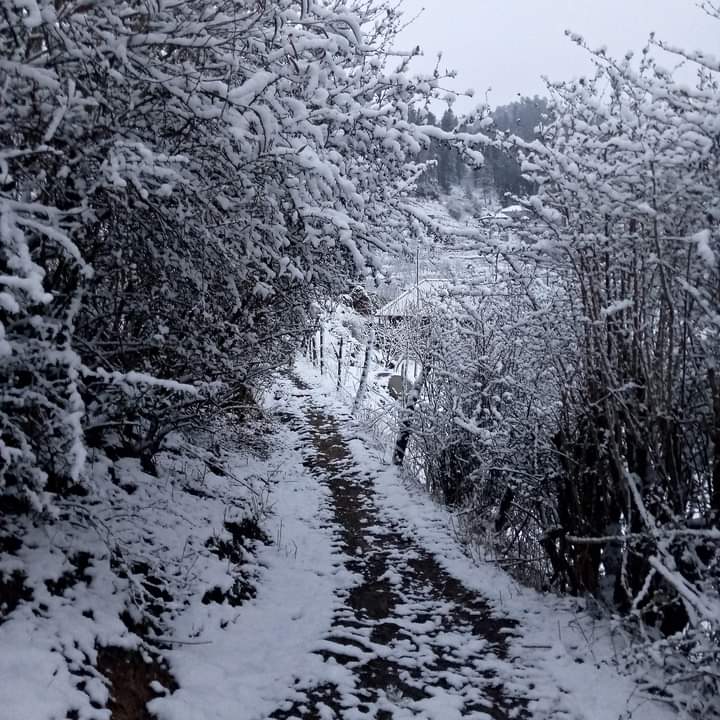 shubhamtorres09's tweet photo. Fresh #Snowfall in #Khadrala ❄️🏔️
1st March 2023
#Shimla , #HimachalPradesh https://t.co/GwUyKsLznq