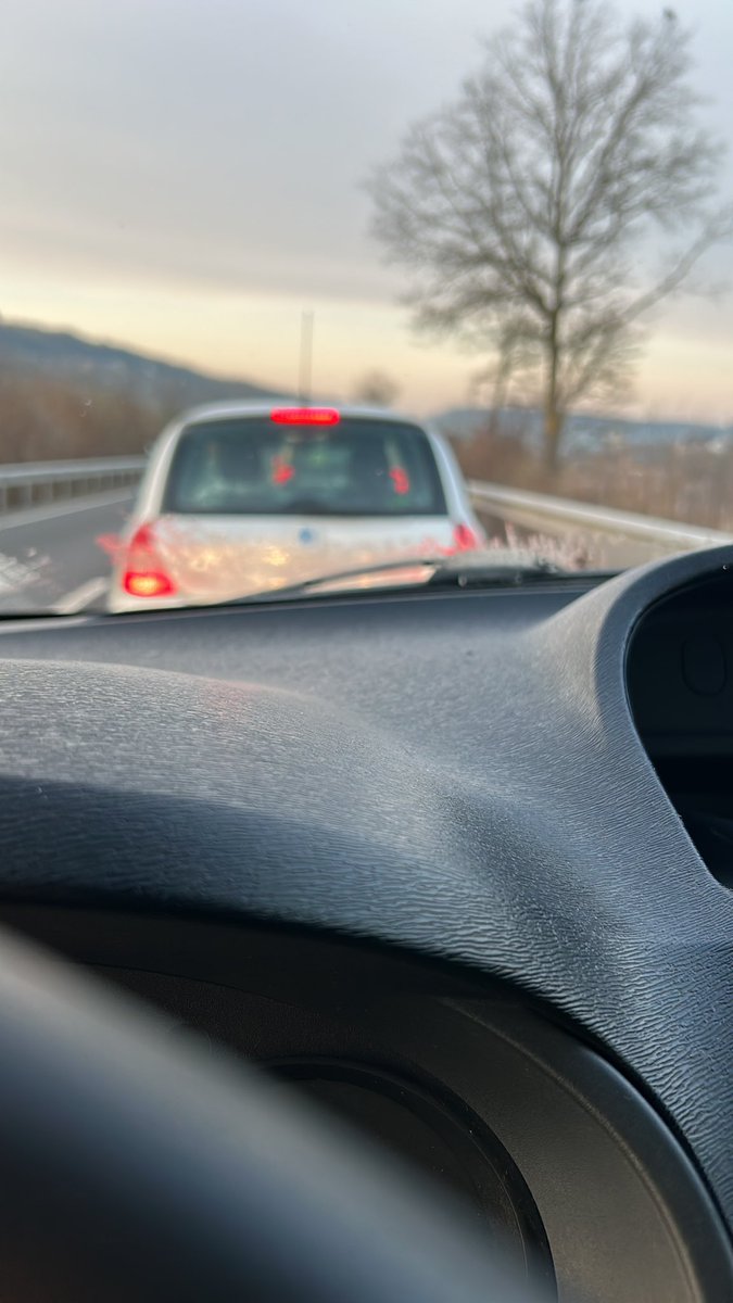 ready87bear's tweet image. GM web3 to a beautiful wednesday! Welcome to the daily jungle 😂