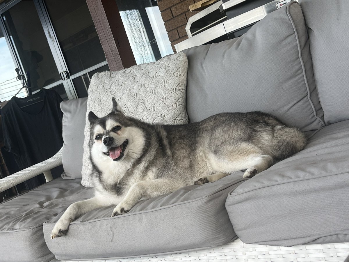 LynneHealth's tweet image. Taking some Self care on my back deck with my daughters dog - drinking a nice cuppa tee, the only sound being a nice cool breeze and a few birds chirping - I may never leave - #selfcare #takingabreak #livetothrive what are you doing today that’s incorporating self care ??