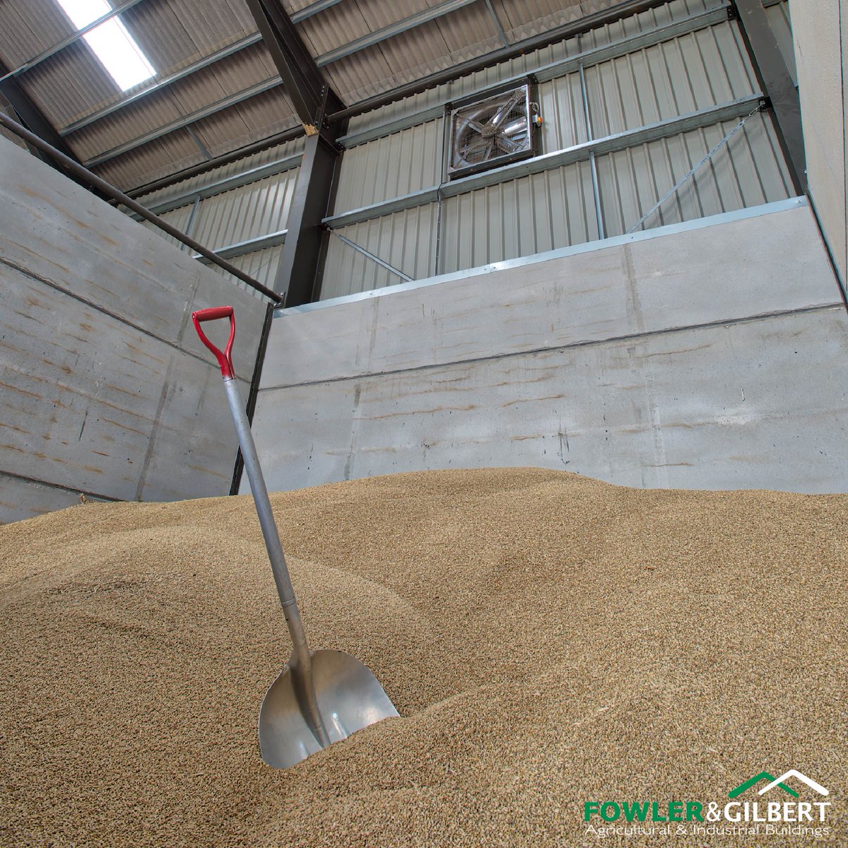 _FLGB's tweet photo. 🌾Reap the labour, harvest the rewards🌾
.
See our website on how to prepare your grain store for
the busiest time of year.
.
👉https://t.co/fFuIfwWNlu
.
#harvest #grain #grainstore #arable #arablefarming
#cereals #wheat #barley #grain #rape #storage
#prepare #farm #farmer https://t.co/CujL4k4zt6