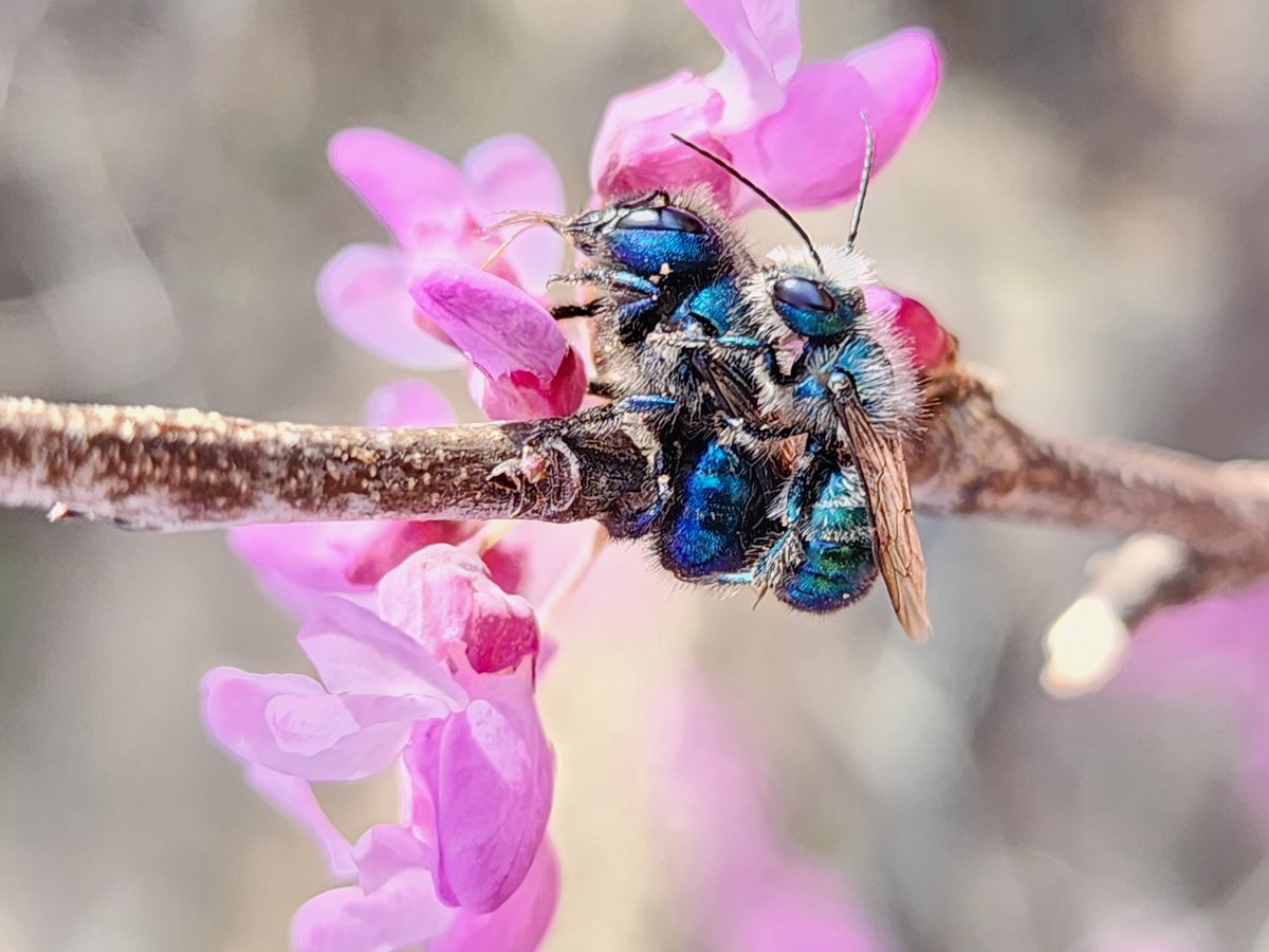 John -gitti tweet media