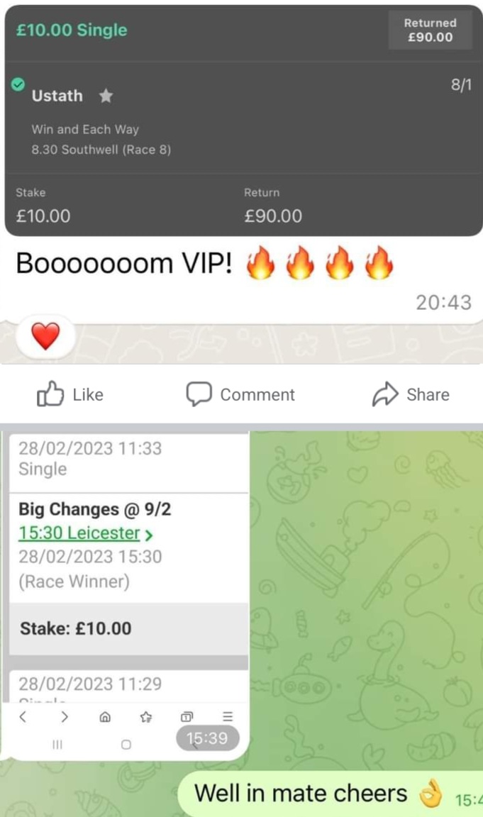 stablesecrets1's tweet photo. Yesterdays VIP WINNERS
9/1, 8/1, 5/1, 11/8 🔥🔥 we're on the countdown to Cheltenham Festival which saw us walk away with 170pts Profit last year. You can join us here https://t.co/Ol5Cs7IvYw and you'll be in for the whole month #HorseRacing #HorseRacingTips #bettingtips #Tips https://t.co/8D59iHKs2W