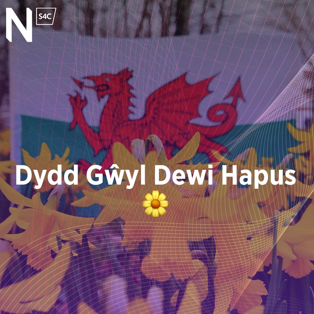 NewyddionS4C's tweet image. Dydd Gŵyl Dewi hapus i bawb 🌼 🏴󠁧󠁢󠁷󠁬󠁳󠁿
