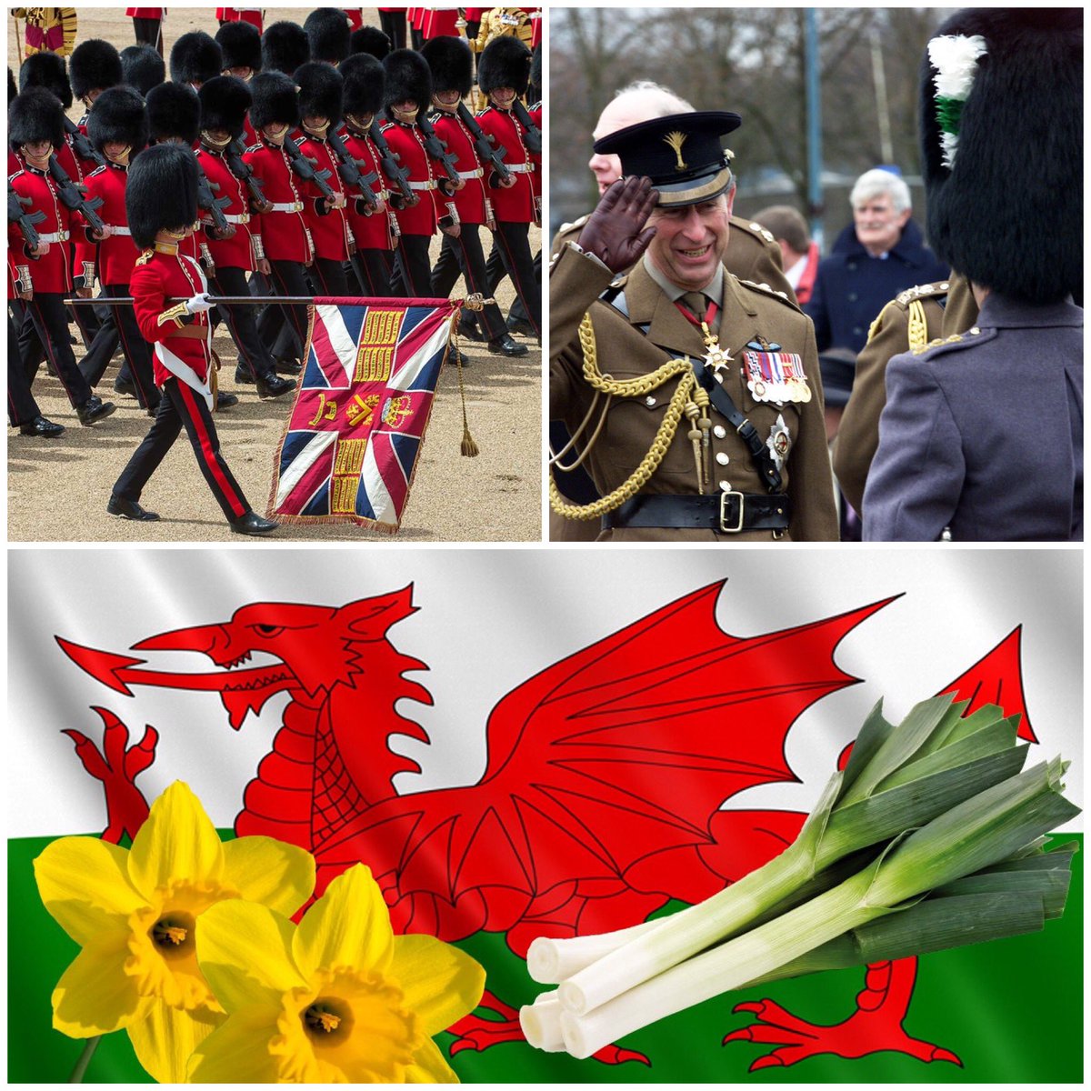 Happy St David's Day🏴󠁧󠁢󠁷󠁬󠁳󠁿🌼 #StDavidsDay #WelshGuards #wales