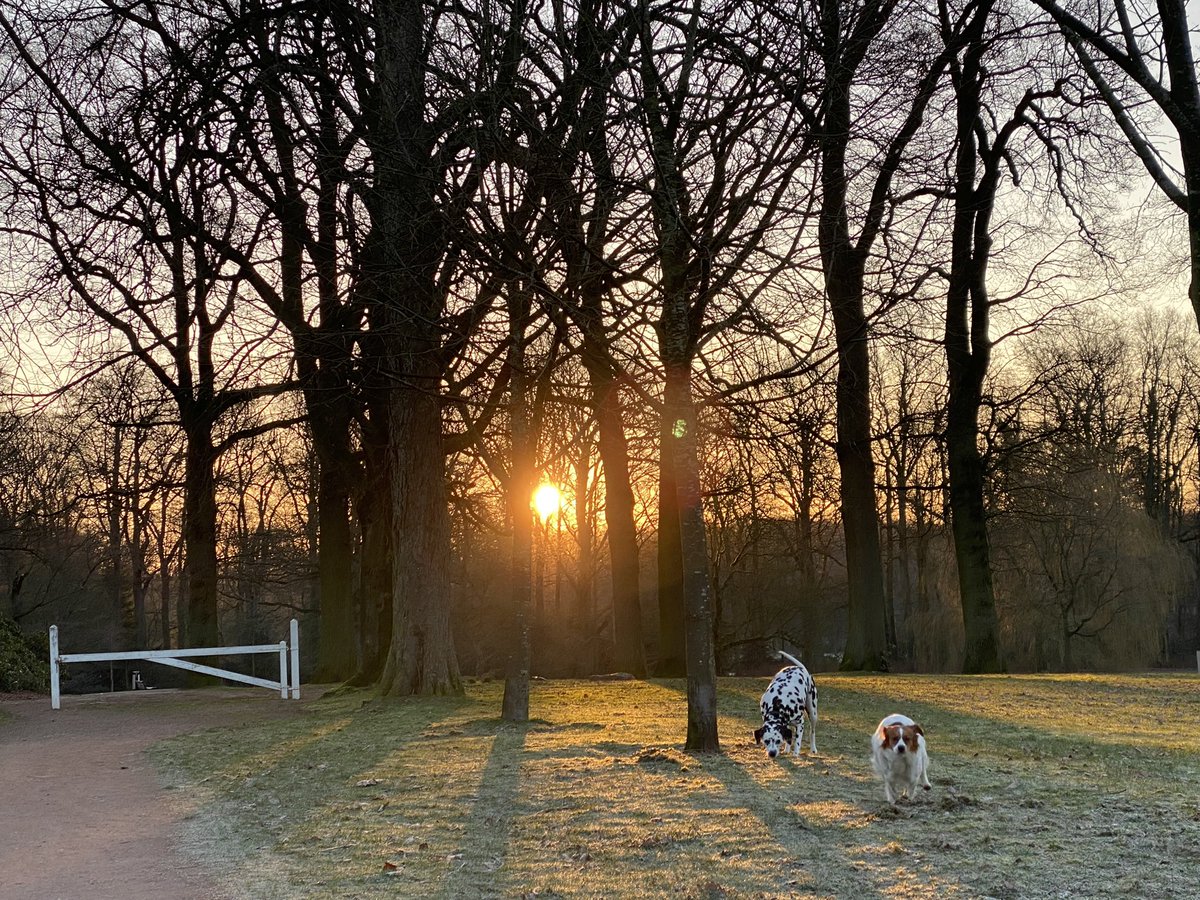 Goedemorgen!