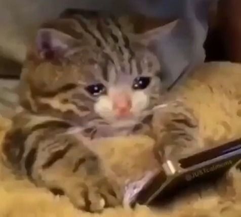 pageyena's tweet photo. Me when the question ask me to wajarkan perubatan komplimentari untuk rawat cancer instead of wajarkah :  
#SPM2022 https://t.co/uyMOyolXsX