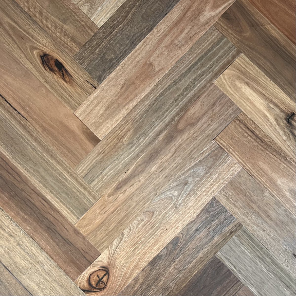 PentForestry's tweet photo. In frame: our metallon XL™ family 

Aztec White | Blackbutt | Spotted Gum | Sterling

View our product range: https://t.co/TYi2EHKu0v

#timberflooring #australiantimber #pentarchforestry #timber #madeinaustralia #responsiblewood #sustainable https://t.co/krzd0eXkid