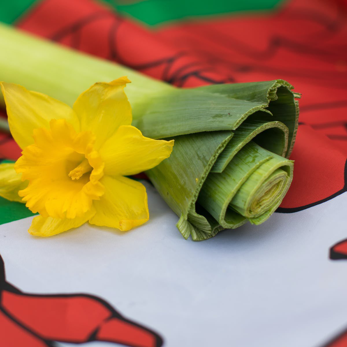 Happy St Davids day #StDavidsDay