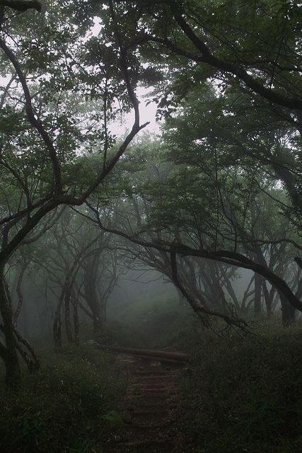 gIoomyweather's tweet image. looks like a dream.