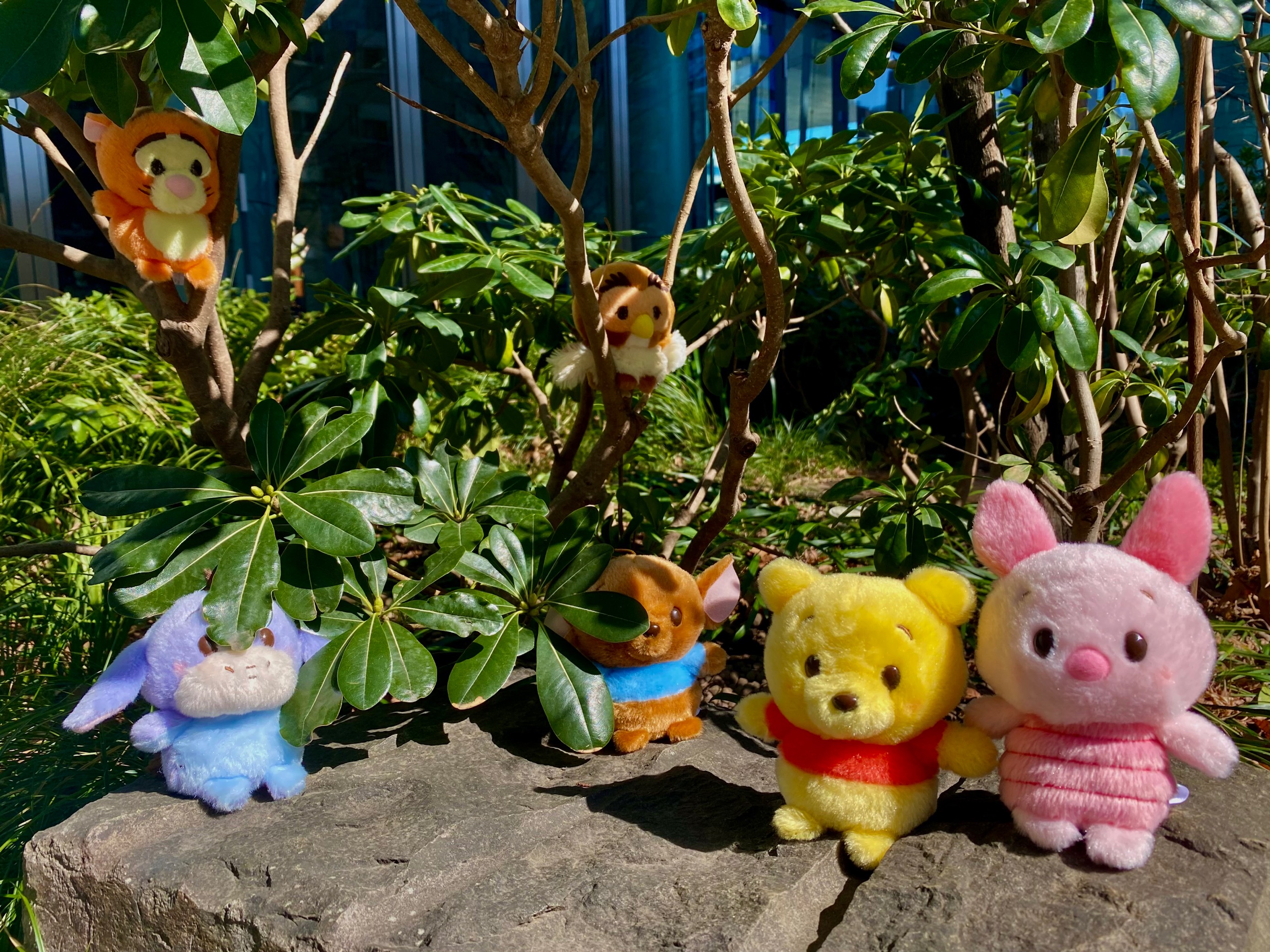 ディズニーストア　うるぽちゃちゃん　7つセット ディズニーストア」ぬいぐるみシリーズ「うるぽちゃちゃん」に