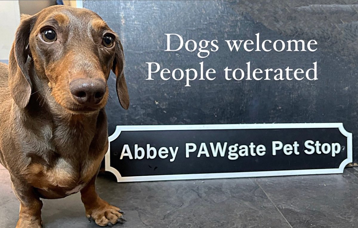 abbeyforegatePO's tweet photo. Dog friendly MAIN Post Office OPEN Mon to Fri 9am - 5.30pm offering full range of PO services, quirky gifts & cards & of course doggies treatsโฆ
๐พ๐ถ ๐พ๐๐พ๐ฉ๐พ๐ฆฎ๐พ๐โ๐ฆบ๐พ
#dogs #doglife #postoffice #abbeyforegatepostoffice #shrewsbury #dogsfriendly #dogswelcome #shrewsbury https://t.co/sLUpS38uDA