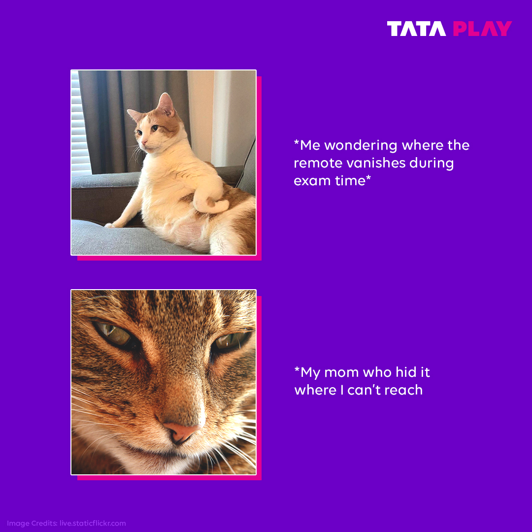 Ekdam se jazbaat badal gaye, exams ke naam se.😕😢

#CatMeme #RemoteMeme #ExamTime #Relatable #MomsBelike