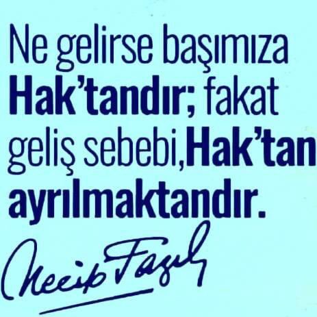 Üstad ne güzel söylemiş...
