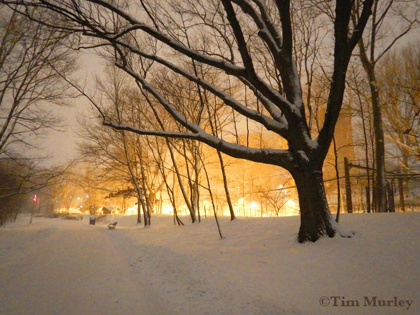 The long walk home. 🌲🌛❄️🌲 #NightPhotography #photography #icestorm #brookline #beautiful #snowfall #fenway #bostoncollege #bostonuniversity #snowynight #Boston #snowing #snowphoto #snowstorm #blizzard #emeraldnecklace #mbta #nieve #icicles #walking #exercise #snow #March1st