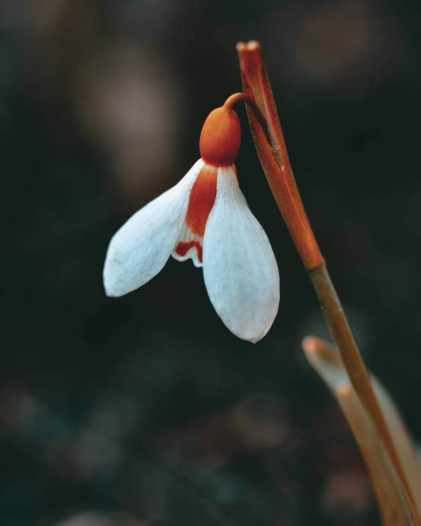 may your spring be filled with lots of energy to do all the things that make you happy ❤️ instagr.am/p/CpPQA0nMbBo/