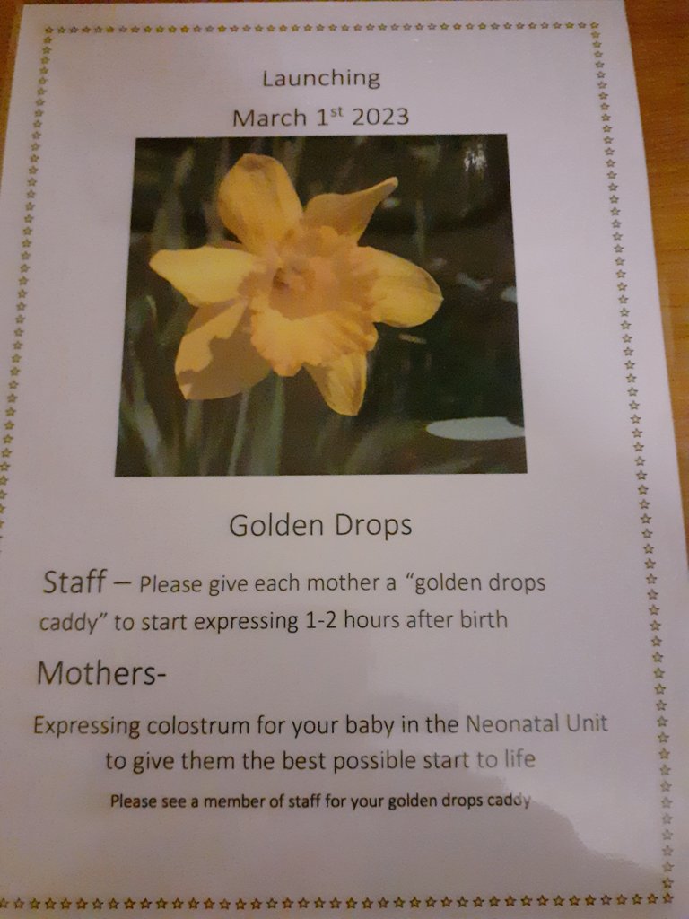 🏴󠁧󠁢󠁷󠁬󠁳󠁿 Launching Golden drops 🏴󠁧󠁢󠁷󠁬󠁳󠁿 @CwmTafMorgannwg . New 'Golden drop ' caddys for mothers to express colostrum of babies admitted to the Neonatal unit giving preterm or sick babies the best start to life. Every drop counts.💛 #goldendrops #beststarttolife #workingtogether