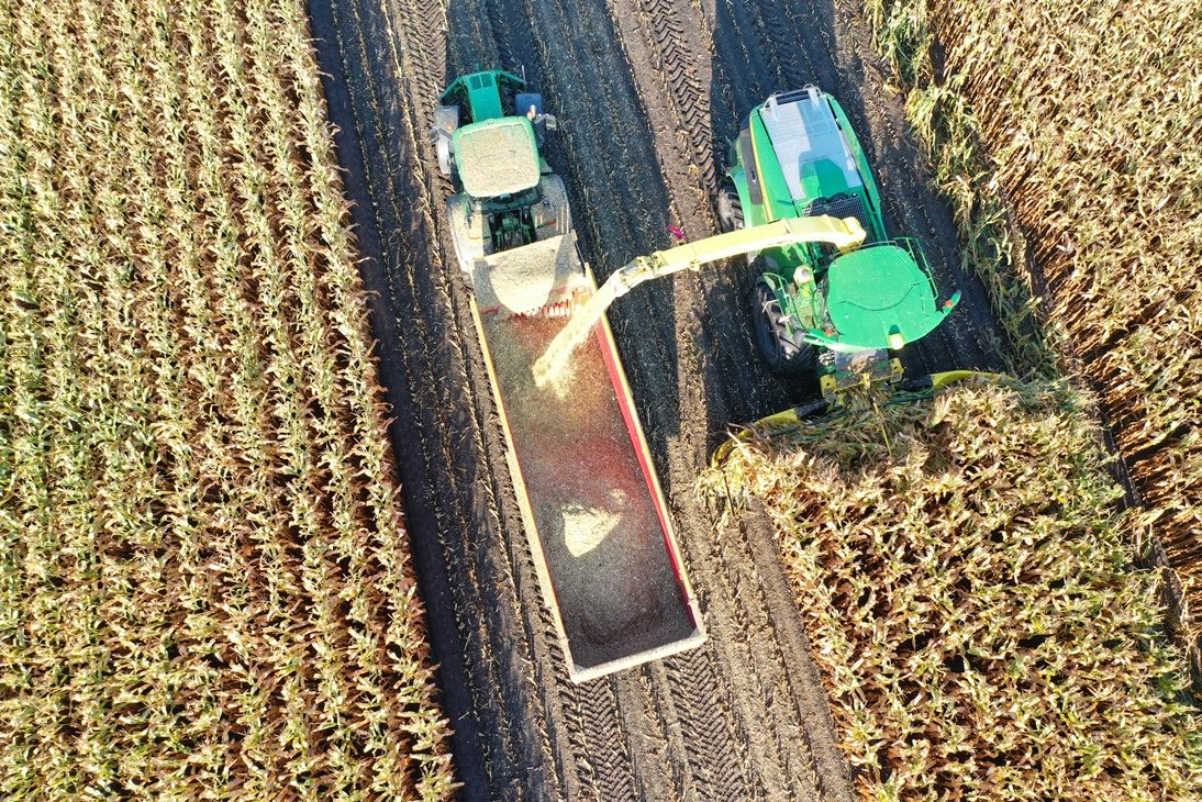 Veel veehouders werden in 2022 verrast door de snelle afrijping van de snijmais. In dit artikel tips voor een perfecte hakselplanning in 2023: ruwvoerforum.nl/mais/droge-mai… #mais #oogst2023 #melkvee #smartfarming