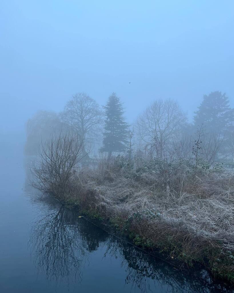 DesignSodaBlog's tweet image. Happy 1st March 🙌🏻🌸🙌🏻 February was my month of getting out in nature. On the colder days I haven’t felt like it at all, but I took on a challenge to do over 10,000 steps each day of February and it’s been really good for the soul. I clocked up an ave… instagr.am/p/CpPNeUgNQ17/