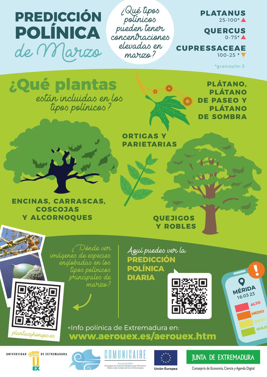 #Comunicaire #PredicciónPolínica #UEX
Cultura Científica Universidad Extremadura UEx Universidad de Extremadura (UEx)
aerouex.es/aerouex.htm