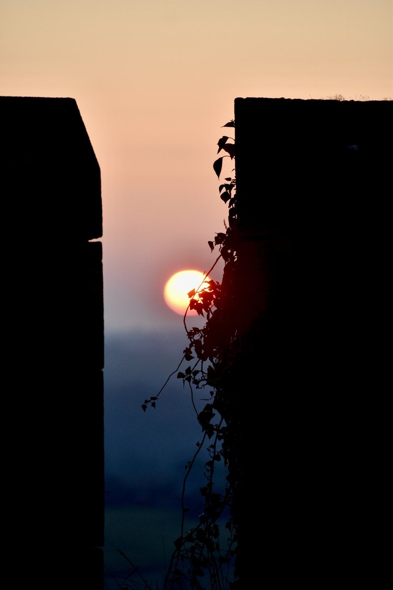 Tompointcom tweet media