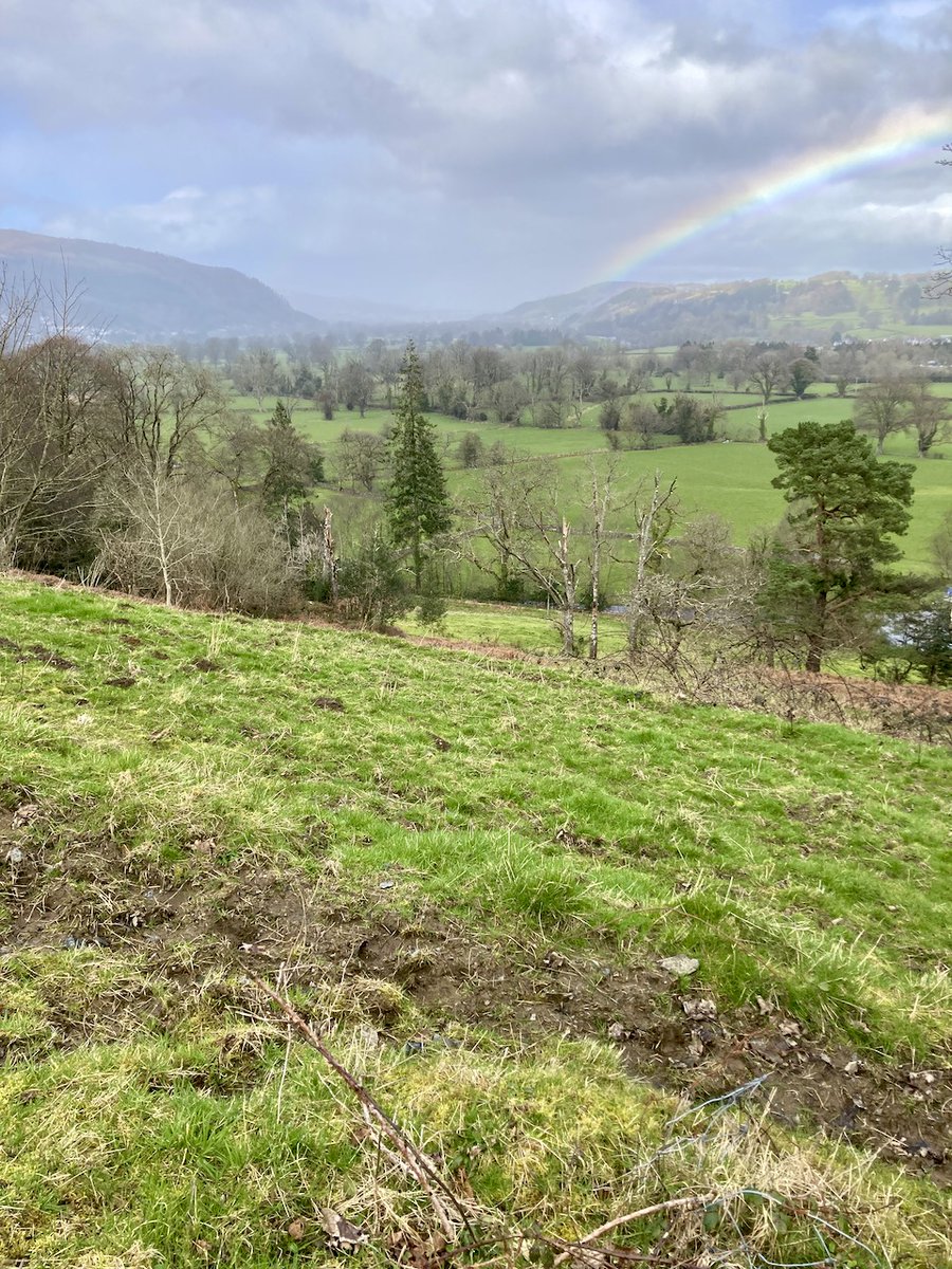 Dydd Gwyl Dewi Hapus/Happy St.David's Day from beautiful, beautiful Wales and our valley this morning. #CaruCymru