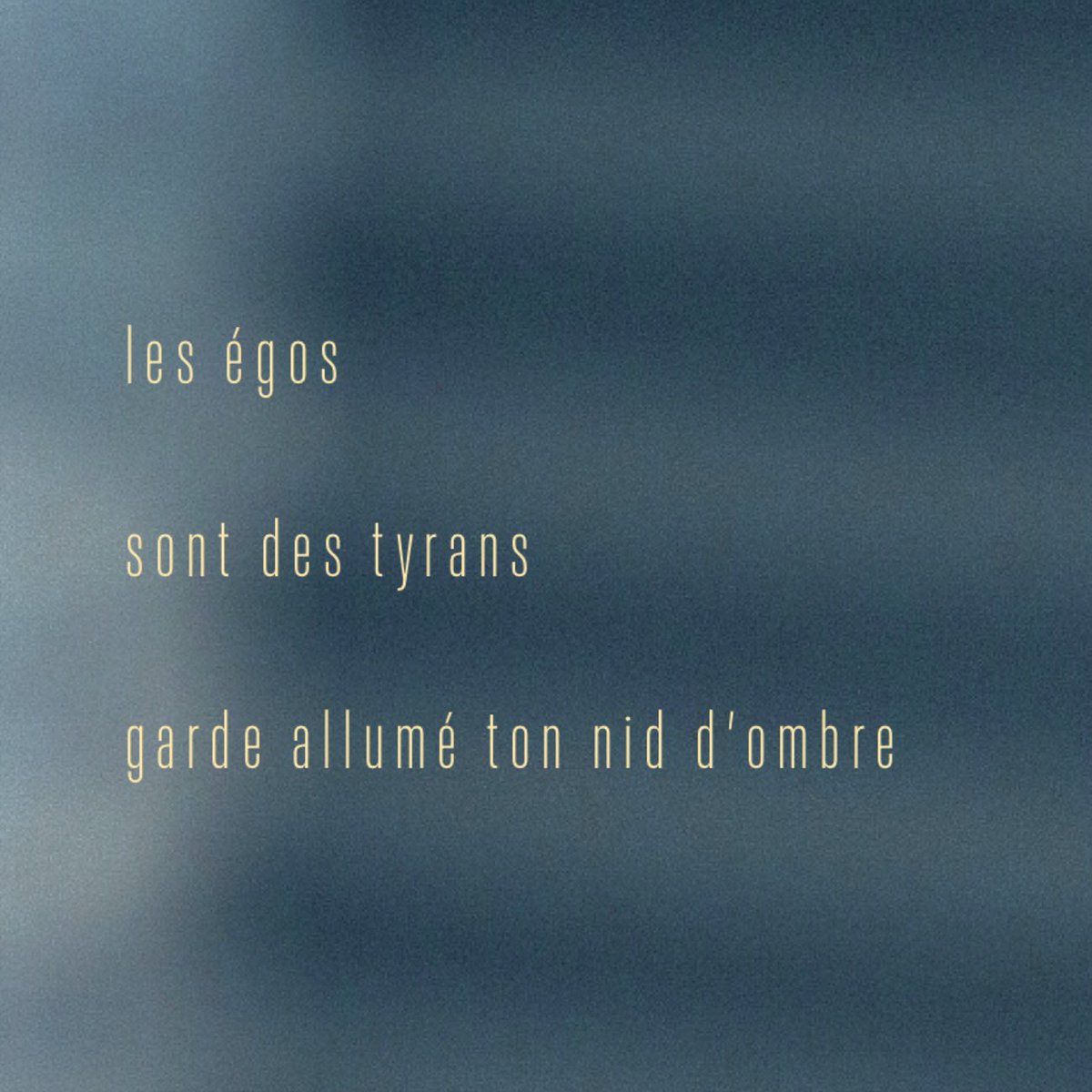…

 les égos

 sont des tyrans

 garde allumé ton nid d’ombre

…

FC