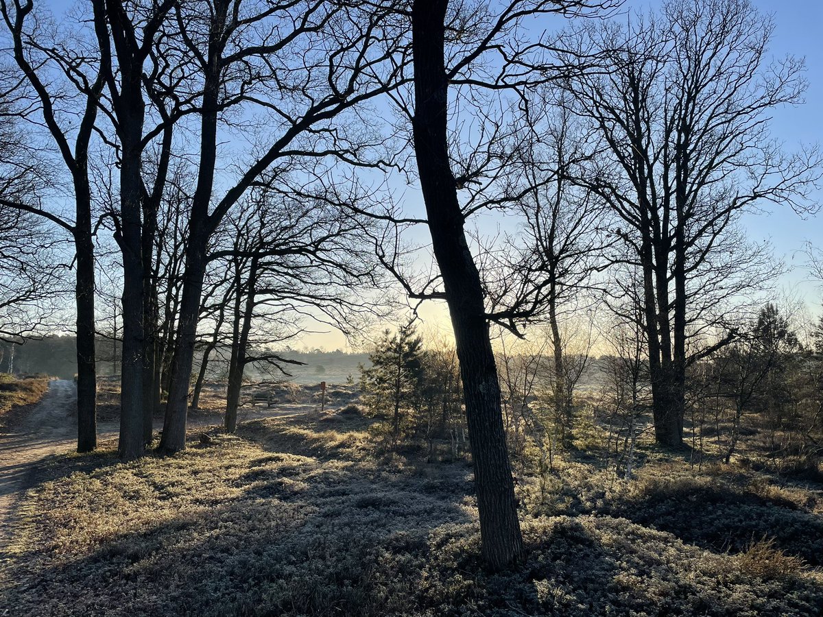 Mooie start van een mooie dag! #sallandseheuvelrug