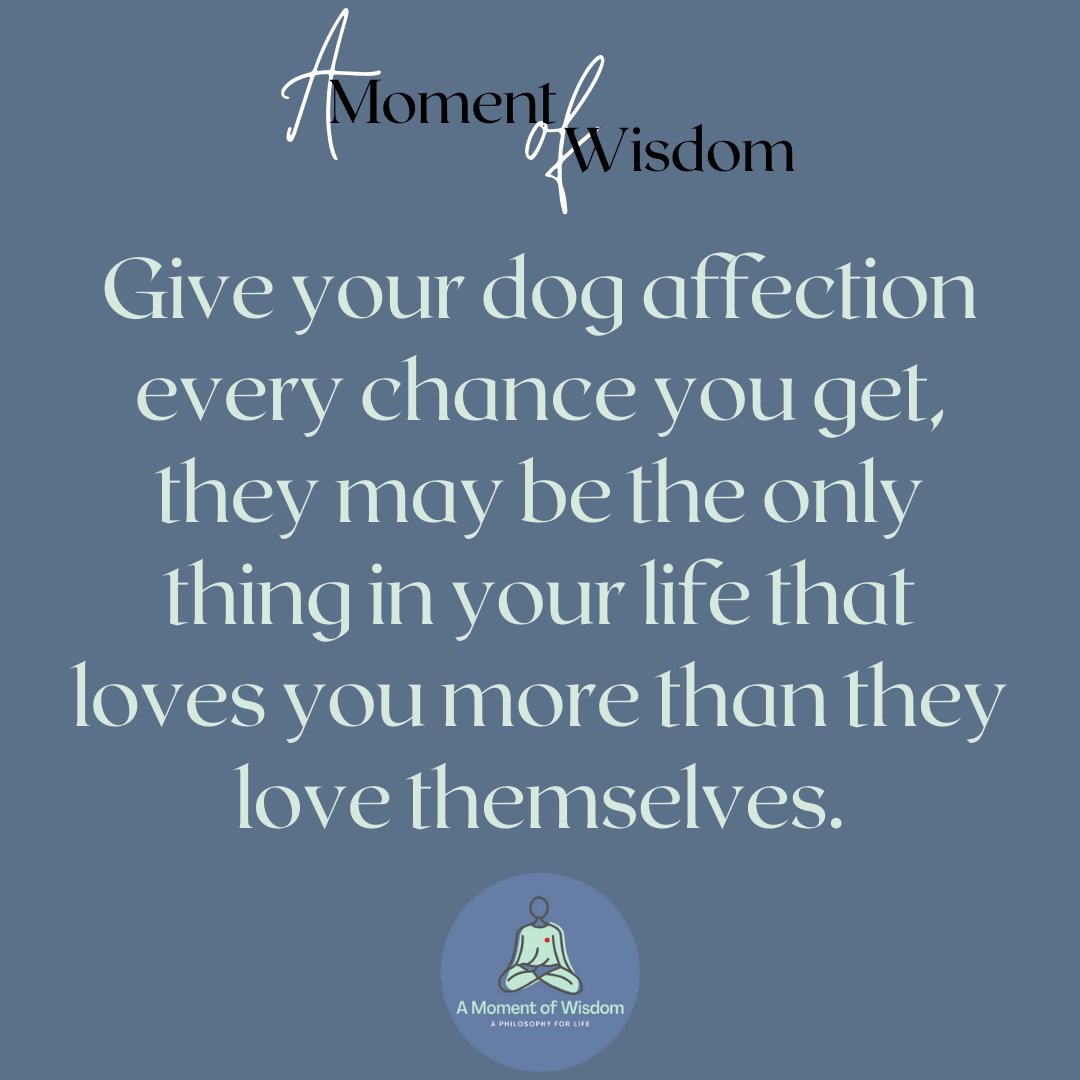 I love my dogs with almost as pure a love as they have for me. I hope one day I can truly learn the lessons they try to teach me.⁠
⁠
#Love #dog #dogs #puppylove #❤️dog #affection #purelove #lessonstolearn #noconditions #unconditional #unconditionallove