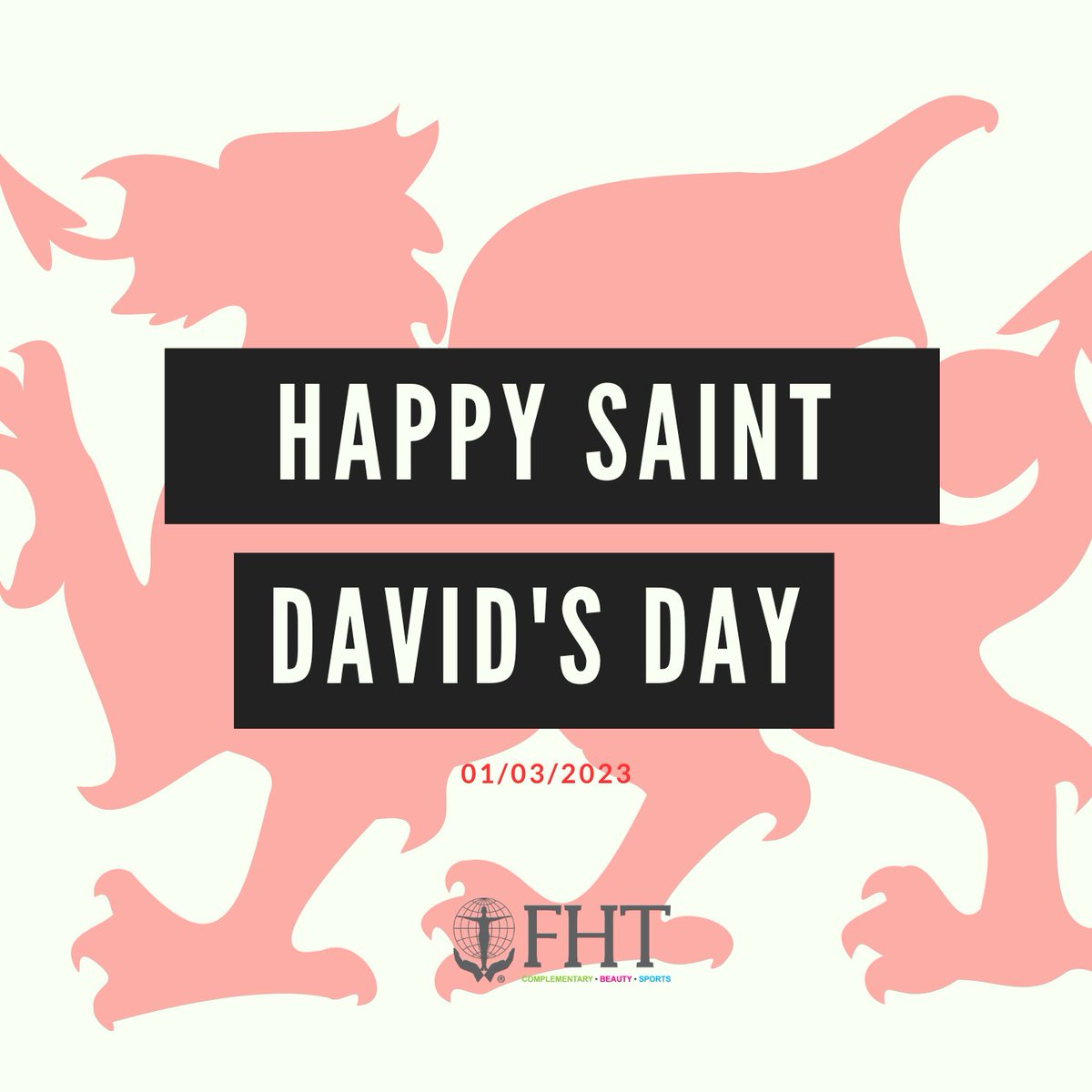 FHT (@fht_org) on Twitter photo Happy St David's Day 🏴 Happy St David's Day 🏴