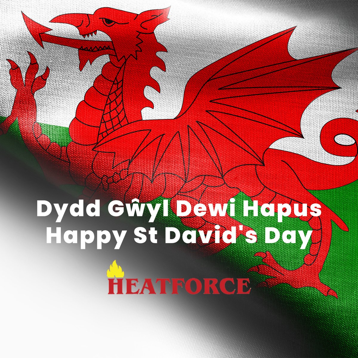 Dydd Gŵyl Dewi Hapus  🌼
Happy St David's Day 🏴󠁧󠁢󠁷󠁬󠁳󠁿
