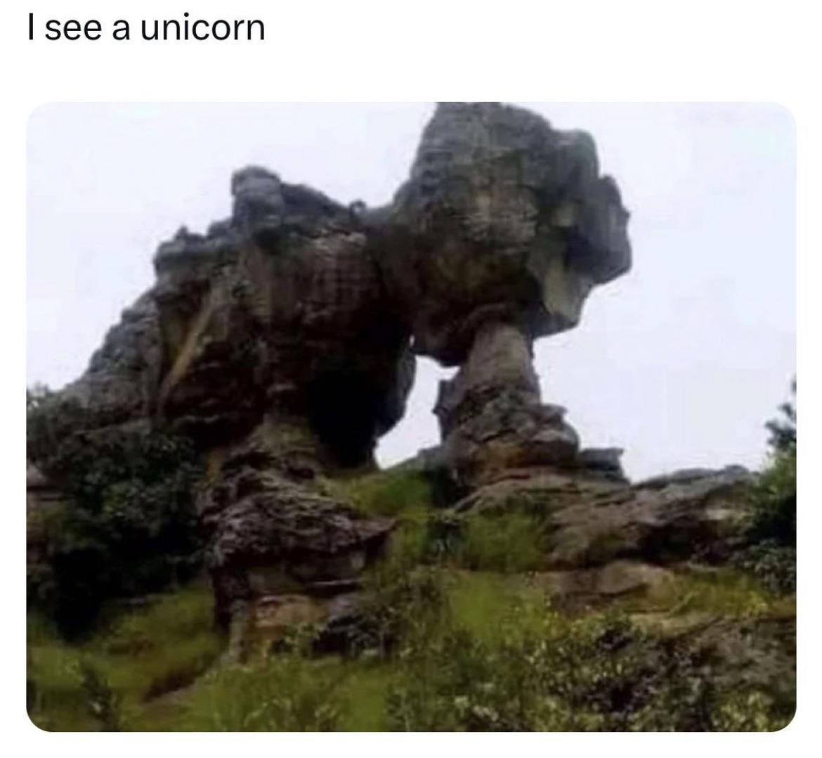 myunclesmemes's tweet photo. I see a dinosaur https://t.co/zmgXoCkfIe