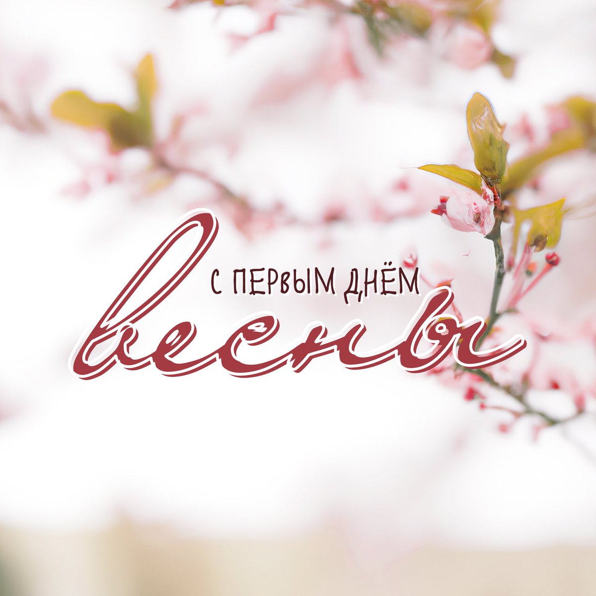 nancydrewhub's tweet photo. С первым днём весны! 

В это время больше всего хочется вновь услышать пение птиц и наблюдать, как распускаются цветы 🌸 https://t.co/BLSI9weUyJ