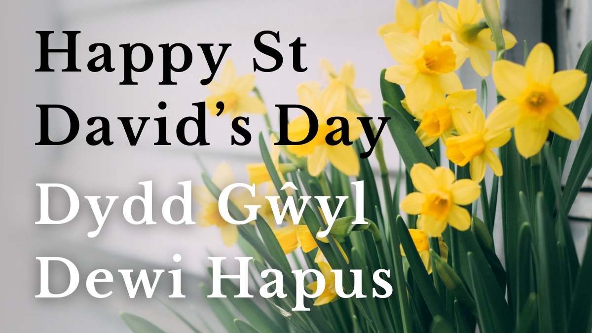 I love being Welsh! 🥰❤️ #HappyStDavidsDay #DyddGŵylDewi #DyddGŵylDewiHapus
