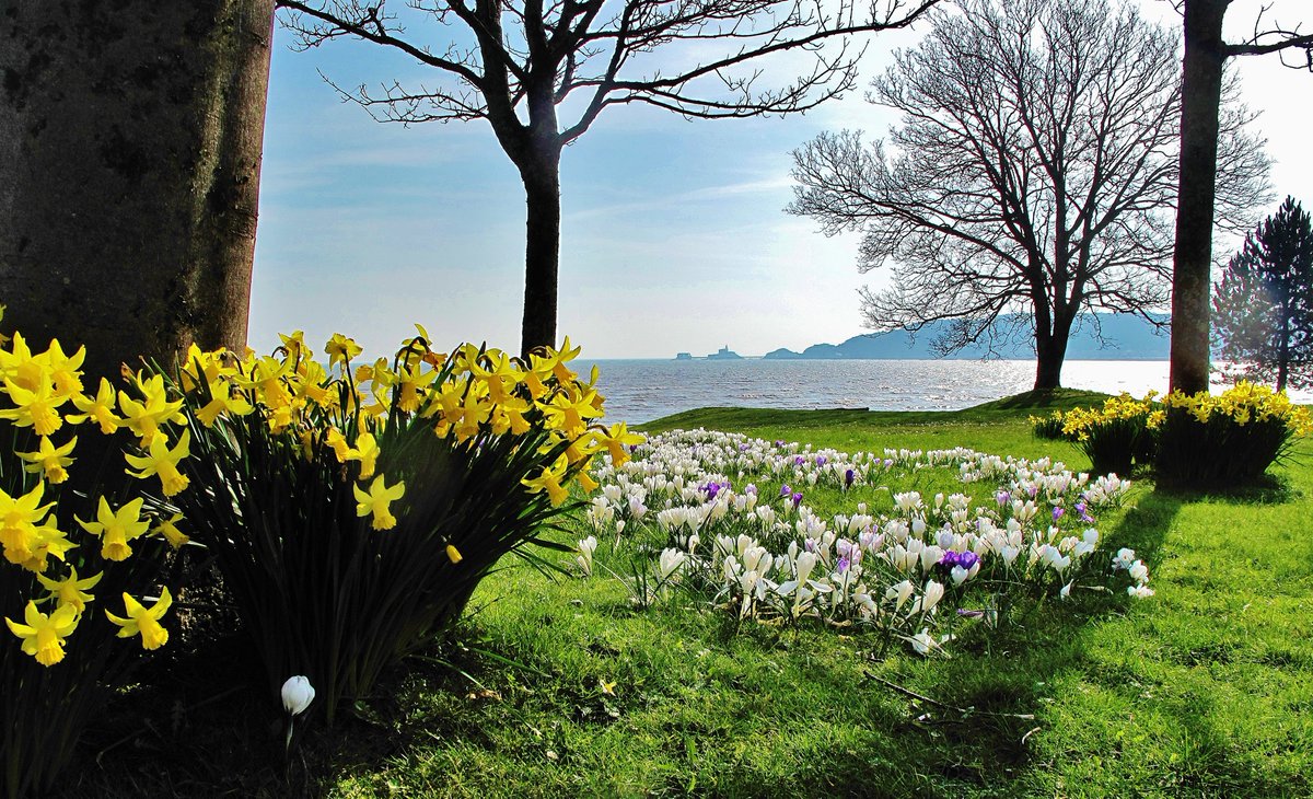 Dydd Gŵyl Dewi Hapus - Happy St Davids Day 

                            Cymru am Byth