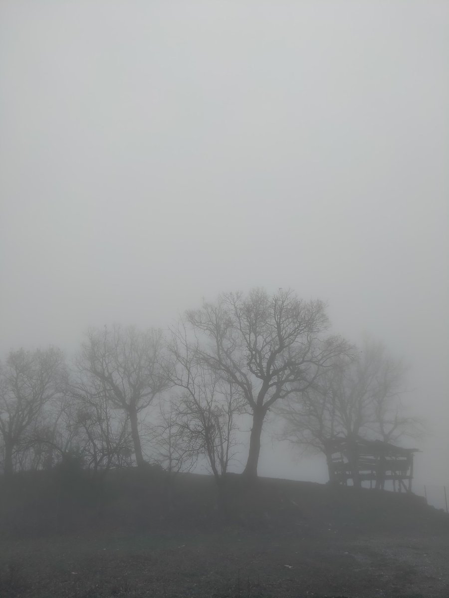 yagmuriyigor's tweet photo. Mart 2023 / Sinop ✨ https://t.co/5iIfchQR8B