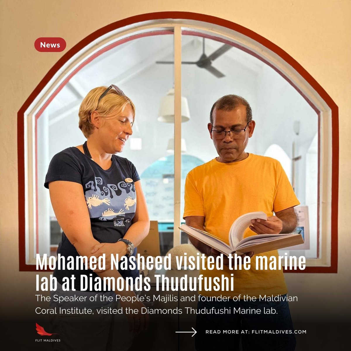 Flit Maldives tweet media