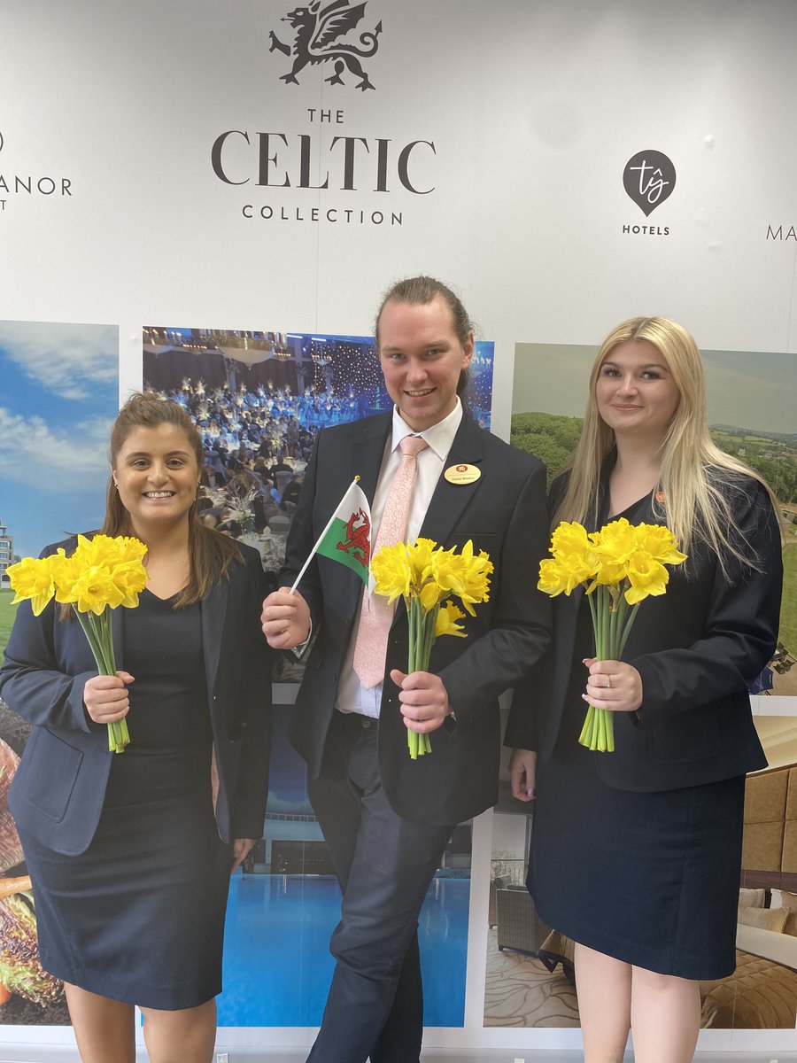 #StDavidsDay #DyddGwylDewi a day to celebrate in Wales so delivered my favourite flowers, beautiful welsh daffodils to my fantastic team @TheCelticManor and @ICCWales to make them smile. 
#RandomActsOfWelshness 

@MeetInWales