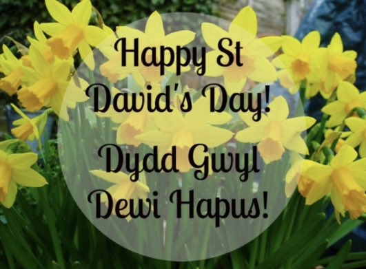 Director of Education St Pius X Prep School tweet media