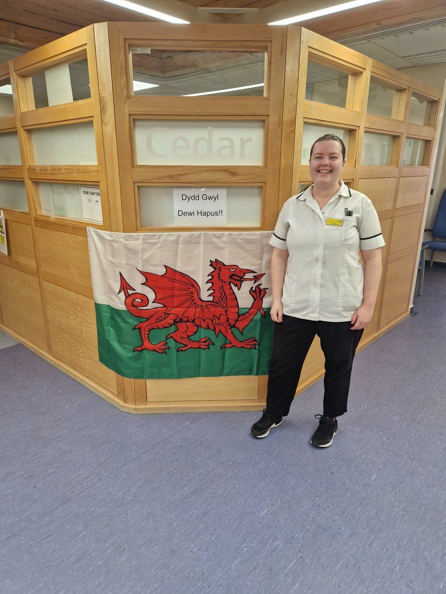 amywarlow's tweet photo. Happy St David's Day! Making Plymouth Radiotherapy Department feel more Welsh for the day for us Welsh staff!  🏴󠁧󠁢󠁷󠁬󠁳󠁿 @UHP_NHS #StDavidsDay️ #DyddGŵylDewi #DyddGŵylDewiHapus https://t.co/TD3R8YSzZC