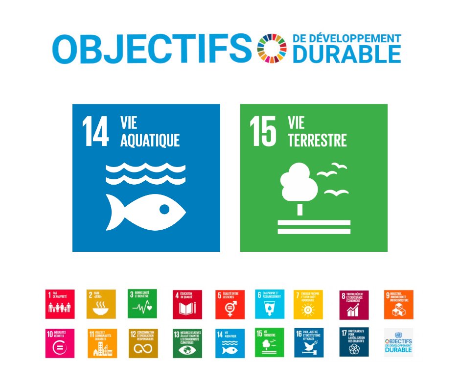 💡Le Digital Cleanup Day contribue à l’atteinte des #ODD : 
- n°14, « Conserver et exploiter de manière durable les océans, les mers et les ressources marines » 
- n°15, « Préserver et restaurer les écosystèmes terrestres »

Vous voulez contribuer ? 👉 digital-cleanup-day.fr