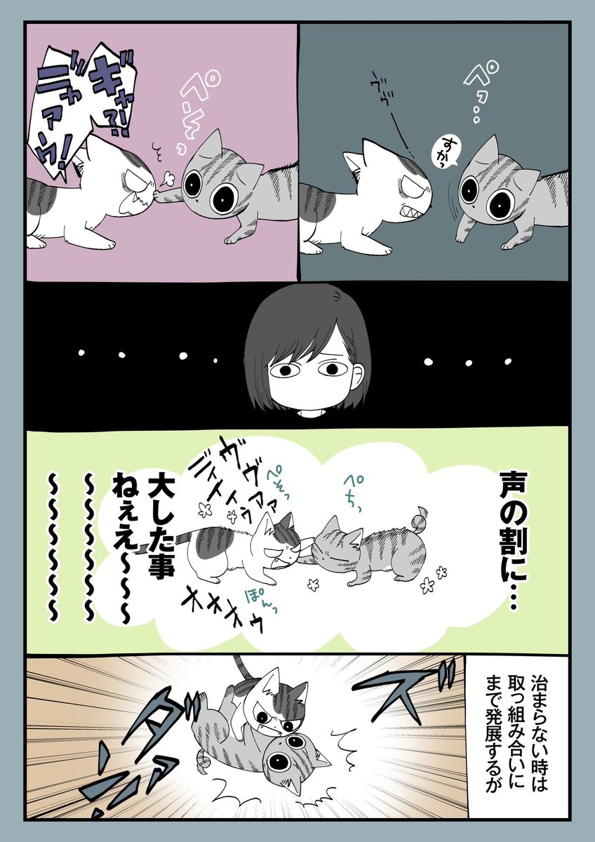 36.やさしいケンカ 