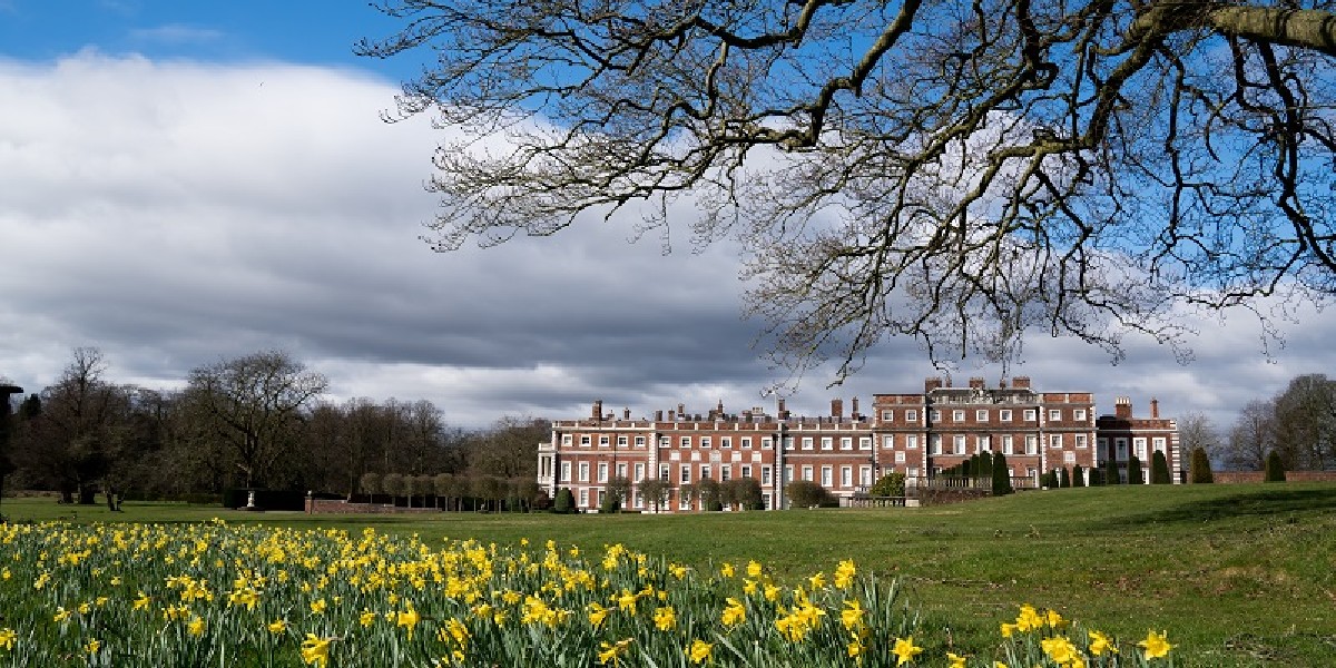 KnowsleyHall's tweet image. 💛 HELLO MARCH 💛
#photooftheday #springisonitsway #nature