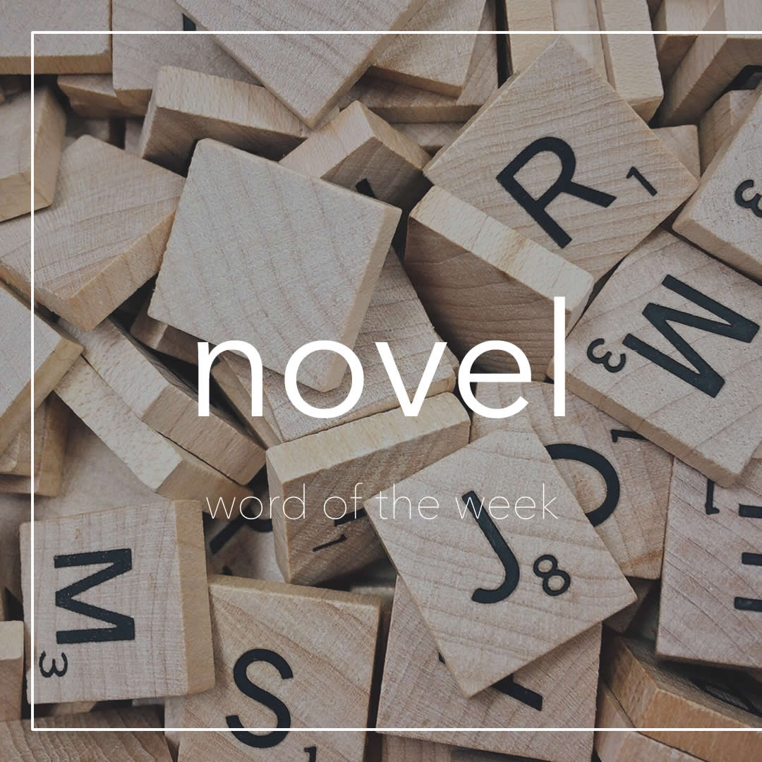 triploinc's tweet photo. 今週の #WOTW は ”novel”です. “Novel” is a noun and an adjective. You know the meaning of the noun; the adjective is also useful.
:
https://t.co/xorcsjlfqh
:
#英単語 #英語学習 #英会話 #英語の勉強 #英語 #クリエイティブラーニング英会話 #新宿御苑前 #英会話スクール #eigo #learnenglish https://t.co/JWhpnAEdjg