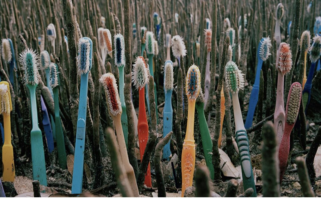 I would choose a bamboo toothbrush because it is eco-friendly and biodegradable. It decomposes soon with other household wastes by the act of microorganisms after disposal. Bamboo is a fast growing versatile renewable plant🎋
#Sustainability #zeroplastic #thetimeisnow #SADCyouth!